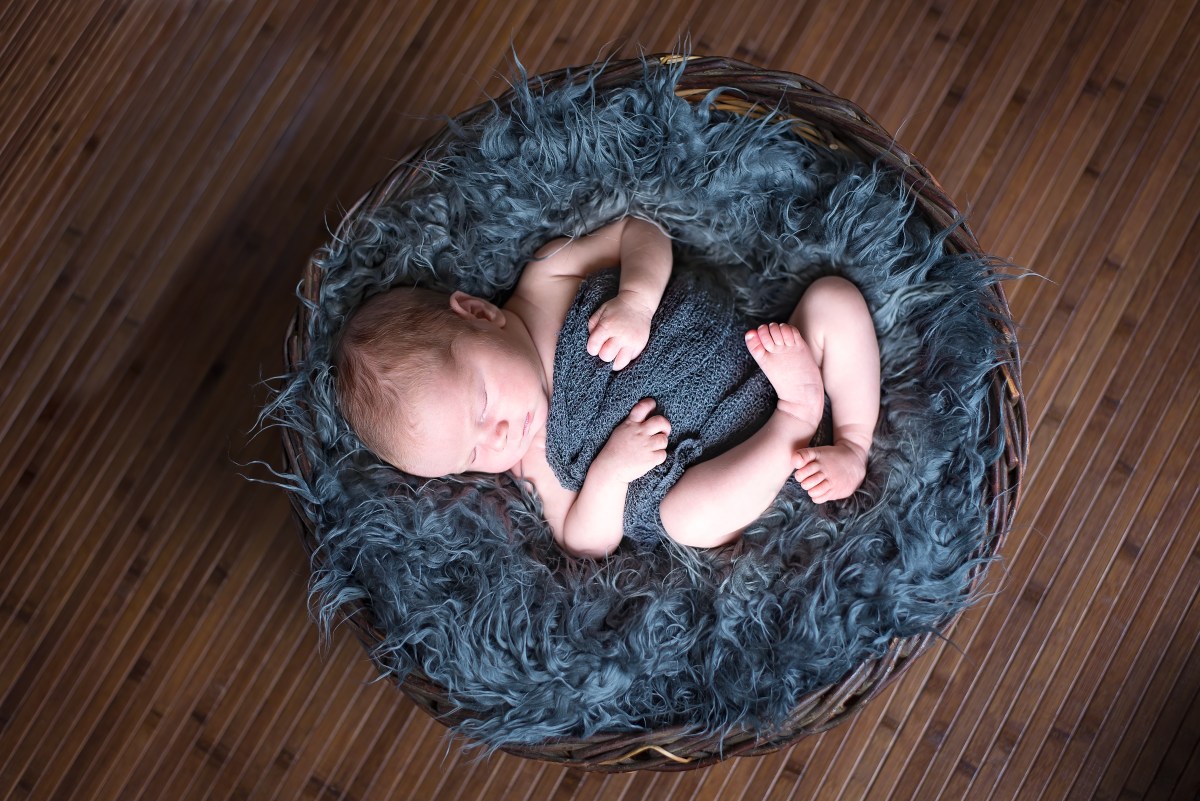 Jenn Gervais Photography | Newnan, Sharpsburg, Peachtree City, GA