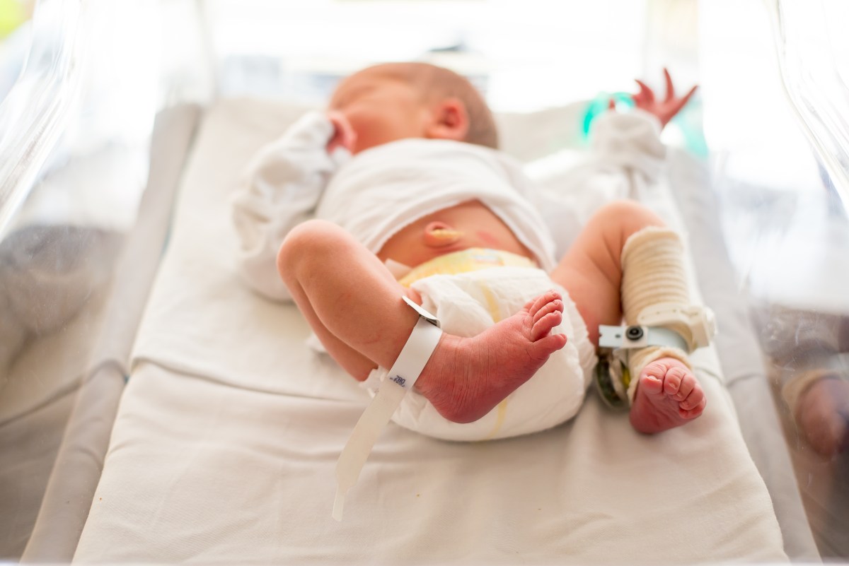 Jenn Gervais Photography | Newnan, Sharpsburg, Peachtree City, GA